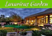 How To Make Your Garden Feel More Luxurious In 2022 How To Make Your Garden Feel More Luxurious In 2022