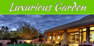 How To Make Your Garden Feel More Luxurious In 2022 How To Make Your Garden Feel More Luxurious In 2022