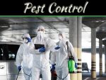 Important Questions You Should Ask Before You Choose A Pest Control Company Important Questions You Should Ask Before You Choose A Pest Control Company