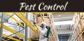 Keeping Your Warehouse Pest Free – Steps To Follow Keeping Your Warehouse Pest Free – Steps To Follow