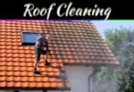 Moss Growing On Your Roof? 5 Common Causes You Should Know Moss Growing On Your Roof? 5 Common Causes You Should Know