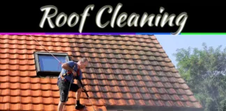 Moss Growing On Your Roof? 5 Common Causes You Should Know Moss Growing On Your Roof? 5 Common Causes You Should Know