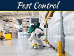 Pest Control Services: Why They Are Necessity? Pest Control Services: Why They Are Necessity?