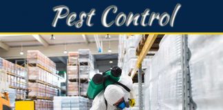 Pest Control Services: Why They Are Necessity? Pest Control Services: Why They Are Necessity?