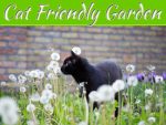 Tips For Creating A Beautiful Garden That’s Also Cat Friendly Tips For Creating A Beautiful Garden That's Also Cat Friendly