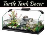 Turtle Tank Décor: 7 Creative, Safe Ideas For A Happy Habitat Top 7 Turtle Tank Decoration Ideas