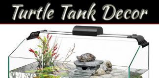 Turtle Tank Décor: 7 Creative, Safe Ideas For A Happy Habitat Top 7 Turtle Tank Decoration Ideas