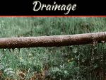 Why Do I Keep Having Drainage Problems? Why Do I Keep Having Drainage Problems?