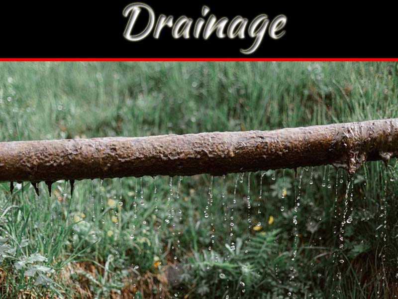Why Do I Keep Having Drainage Problems? My Decorative