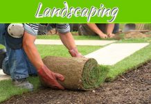 A Guide To Low-Maintenance Landscaping A Guide To Low-Maintenance Landscaping