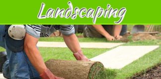A Guide To Low-Maintenance Landscaping A Guide To Low-Maintenance Landscaping