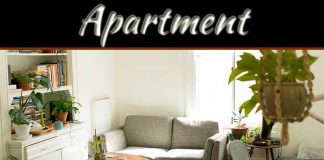 How To Design Your Apartment How To Design Your Apartment