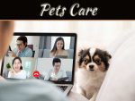 How To Keep Pets From Interrupting Work-From-Home Meetings