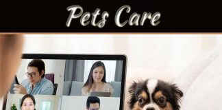 How To Keep Pets From Interrupting Work-From-Home Meetings How To Keep Pets From Interrupting Work-From-Home Meetings