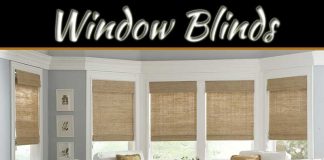 Top Factors To Consider When Choosing The Right Window Blinds For Your Space Top Factors To Consider When Choosing The Right Window Blinds For Your Space