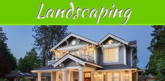 10 Easy And Low-Maintenance Front Yard Landscaping Ideas For Your Home! 10 Easy And Low-Maintenance Front Yard Landscaping Ideas For Your Home!
