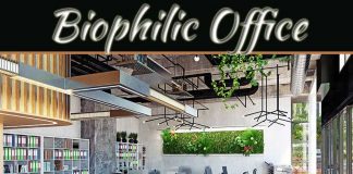 The Argument For A Biophilic Office The Argument For A Biophilic Office