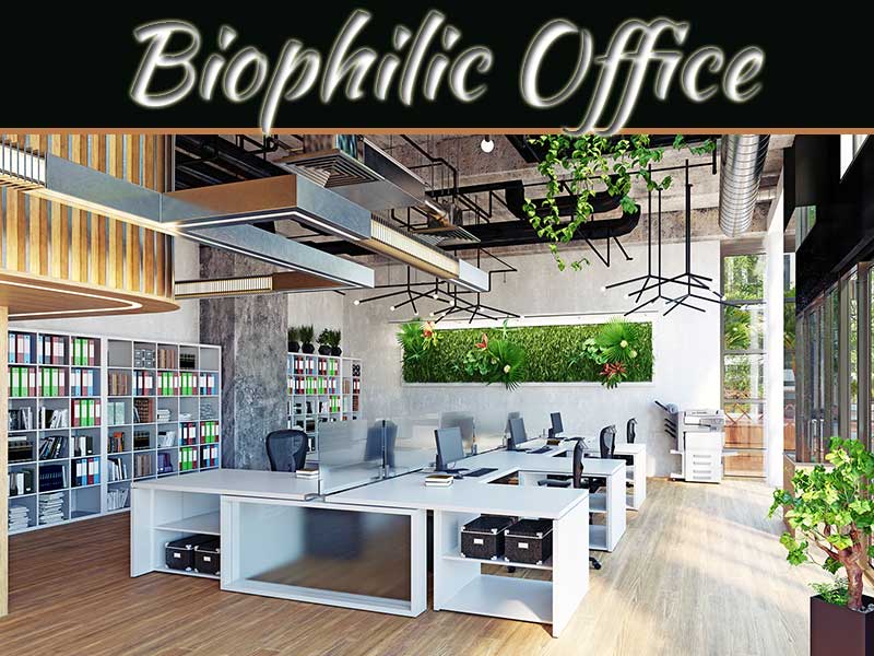 Biophilic Office