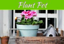 Top 5 Tips For How To Plant Flowers In Pots Top 5 Tips For How To Plant Flowers In Pots