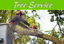 10 Reasons Why You Should Hire Professionals Tree Service Company Kansas City, MO 10 Reasons Why You Should Hire Professionals Tree Service Company Kansas City, MO
