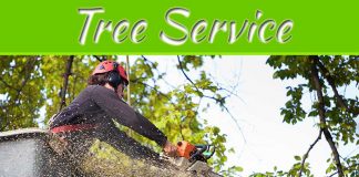 10 Reasons Why You Should Hire Professionals Tree Service Company Kansas City, MO 10 Reasons Why You Should Hire Professionals Tree Service Company Kansas City, MO