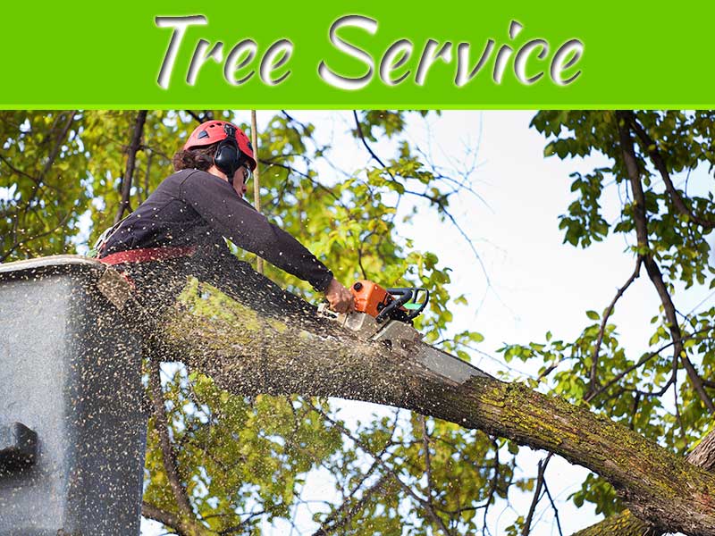 Tree Service Professional