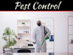 Commercial Pest Control Methods For Your Business