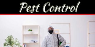 Commercial Pest Control Methods For Your Business Commercial Pest Control Methods For Your Business