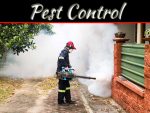 How Pest Professionals Improve Our Quality Of Life?