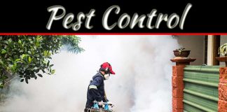 How Pest Professionals Improve Our Quality Of Life? How Pest Professionals Improve Our Quality Of Life?