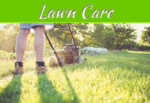 Lawn Care Basics For Beginners Lawn Care Basics For Beginners