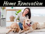 Renovation Ideas For A Pet-Friendly Home