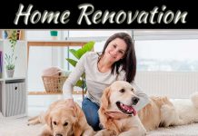 Renovation Ideas For A Pet-Friendly Home Renovation Ideas For A Pet-Friendly Home