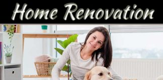 Renovation Ideas For A Pet-Friendly Home Renovation Ideas For A Pet-Friendly Home