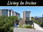 Social Heaven: How Does Living In Irvine Look Like