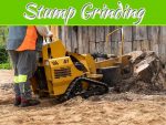 Things You Should Know About Stump Grinding