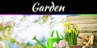 Spring Garden Ideas: Simple Ways To Transform Your Outdoor Space Transforming The Garden For Spring