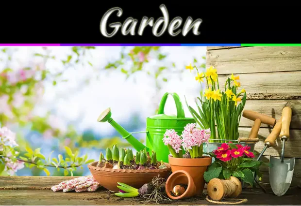 Spring Garden Ideas: Simple Ways To Transform Your Outdoor Space