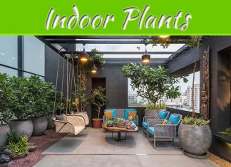 10 Benefits Of Indoor Plants 10 Benefits Of Indoor Plants