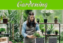 5 Things To Look For In A Face Shield For Gardening 5 Things To Look For In A Face Shield For Gardening