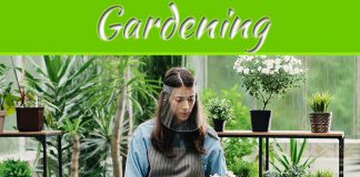5 Things To Look For In A Face Shield For Gardening 5 Things To Look For In A Face Shield For Gardening