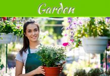 Here’s How You Can Have A Garden If You Have A Tiny Apartment Here’s How You Can Have A Garden If You Have A Tiny Apartment