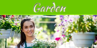 Here’s How You Can Have A Garden If You Have A Tiny Apartment Here’s How You Can Have A Garden If You Have A Tiny Apartment