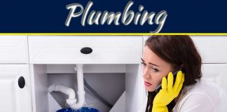 Leaky Pipes: What Kinds Of Household Pests Are Attracted To Them? Leaky Pipes: What Kinds Of Household Pests Are Attracted To Them?