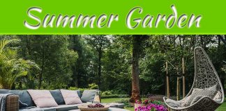8 Environmentally Friendly Changes To Make To Your Garden This Summer 8 Environmentally Friendly Changes To Make To Your Garden This Summer