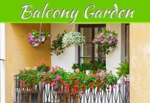 How To Turn Your Balcony Into A Lush Garden Paradise How To Turn Your Balcony Into A Lush Garden Paradise