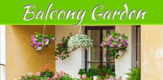 How To Turn Your Balcony Into A Lush Garden Paradise How To Turn Your Balcony Into A Lush Garden Paradise
