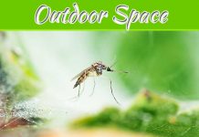 Pesky Purge: Tips And Tricks To Rid Your Outdoor Space Of Mosquitos Pesky Purge: Tips And Tricks To Rid Your Outdoor Space Of Mosquitos