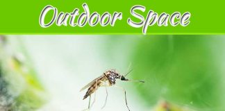 Pesky Purge: Tips And Tricks To Rid Your Outdoor Space Of Mosquitos Pesky Purge: Tips And Tricks To Rid Your Outdoor Space Of Mosquitos