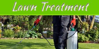 What Is The Treatment Of Lawn Weeds And Pest? What Is The Treatment Of Lawn Weeds And Pest?